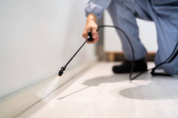 Rodent Entry Point Assessment in Edmonton