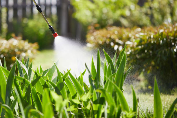Tamper-Resistant Bait Stations for Rodents in Edmonton