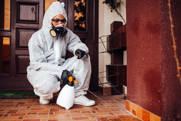Attic and Crawl Space Rodent Treatment in Edmonton